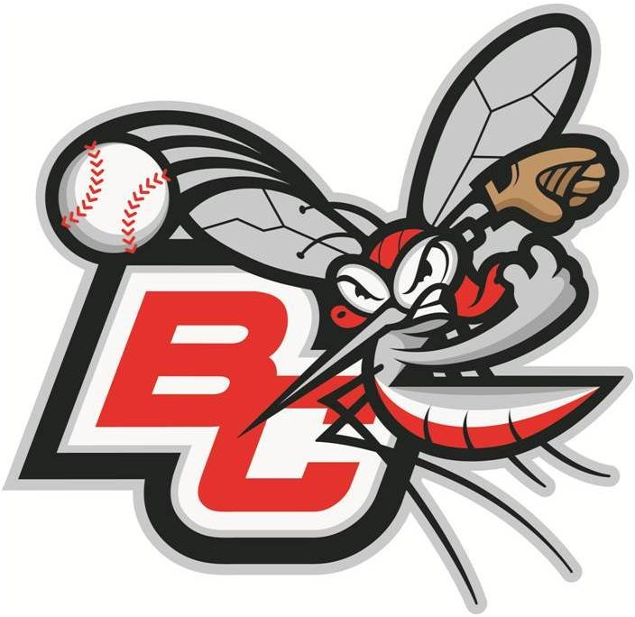 Battle Creek Bombers 2011-Pres Alternate Logo iron on transfers for T-shirts